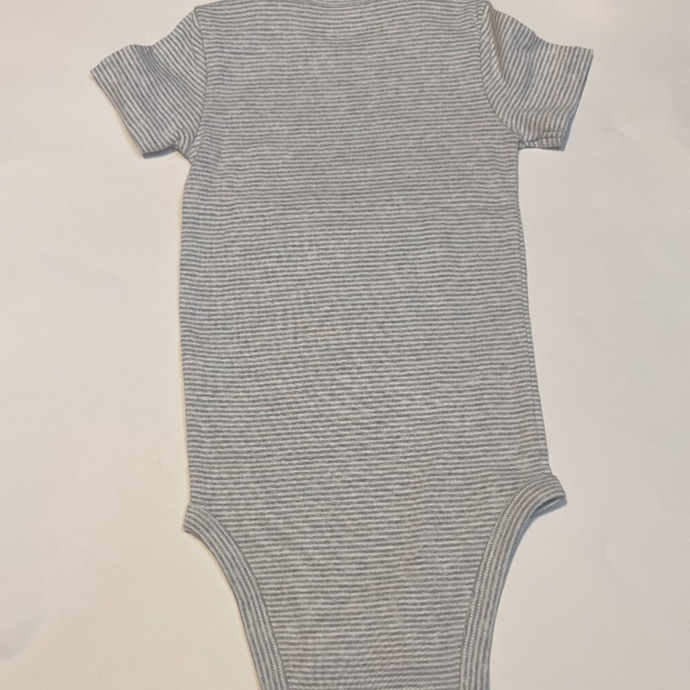 Gray Striped Onesis